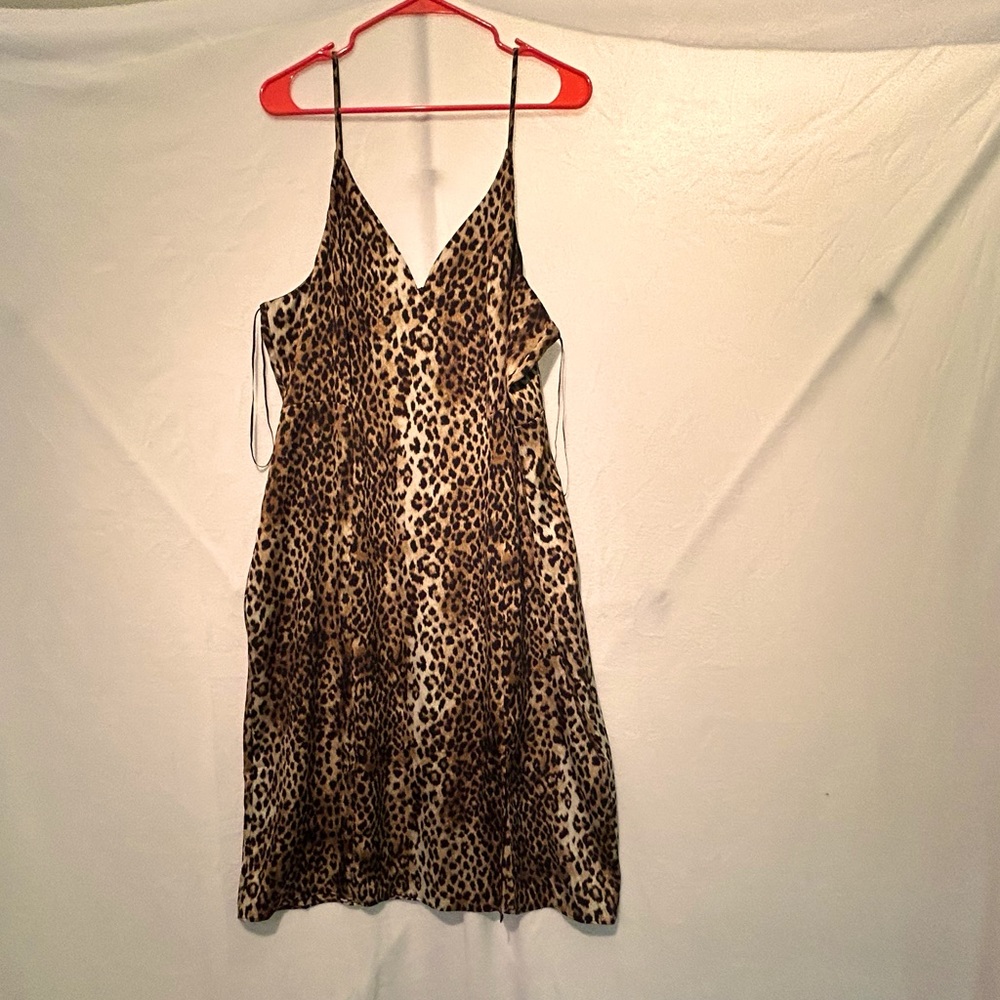 Cheetah dress from Express!